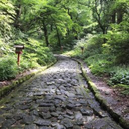 ogamiyama-shurain-stair